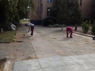 iniciativa-
