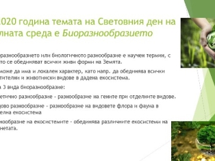 ok-sreda-