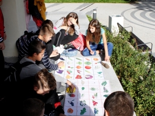 sedmica-