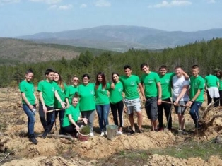 sedmica-