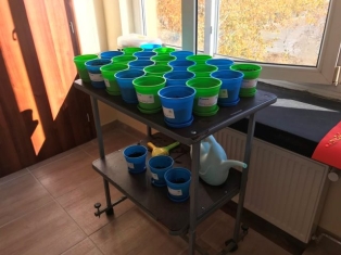 zasajdane-